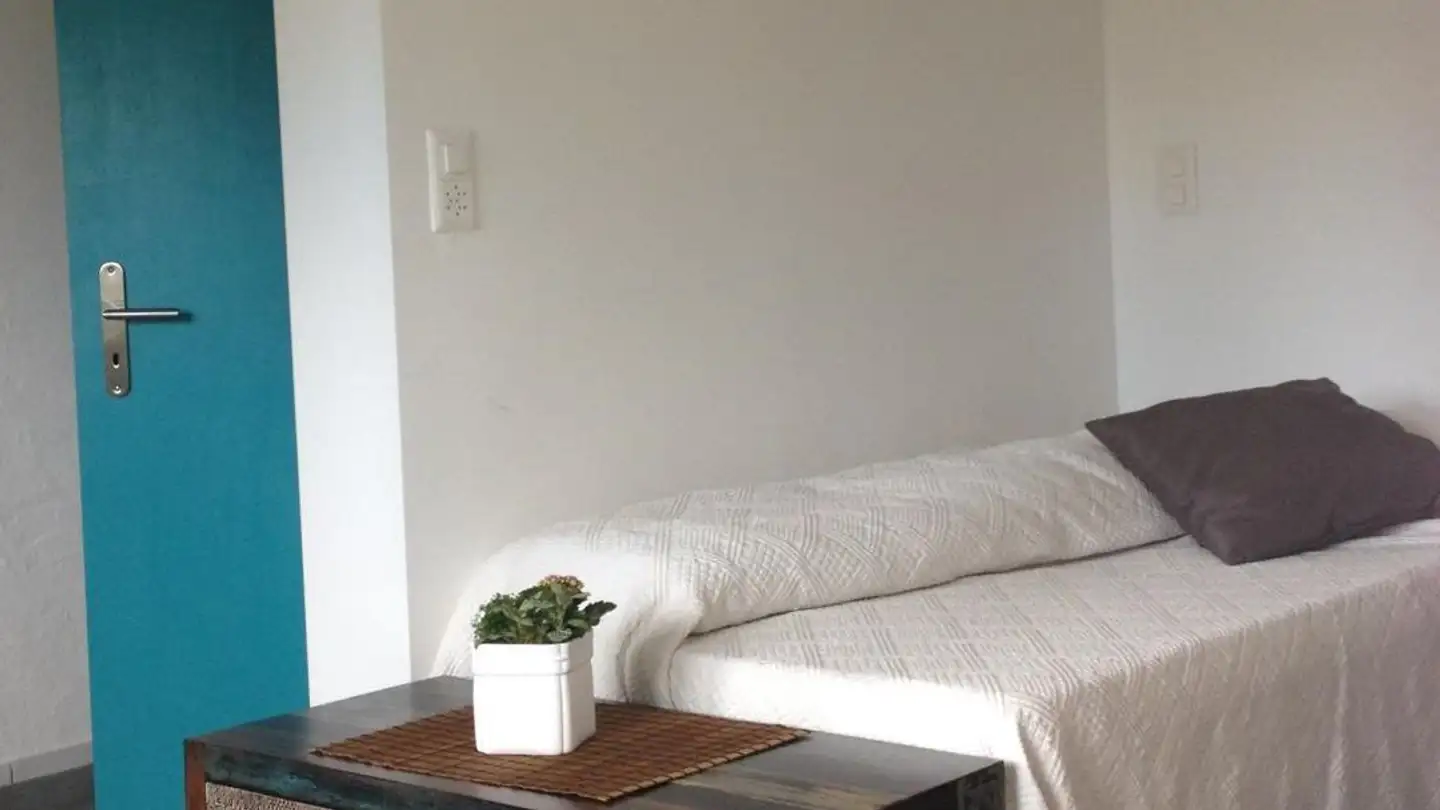 Möblierte Wohnung mieten - Im Ifang 10, 9423 Altenrhein - Foto 4