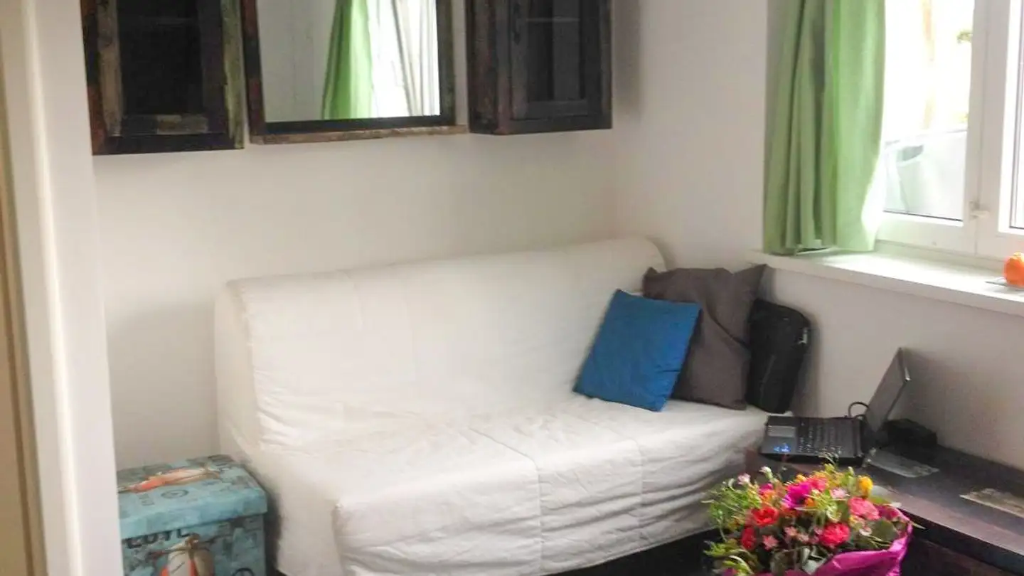 Möblierte Wohnung mieten - Im Ifang 10, 9423 Altenrhein - Foto 2