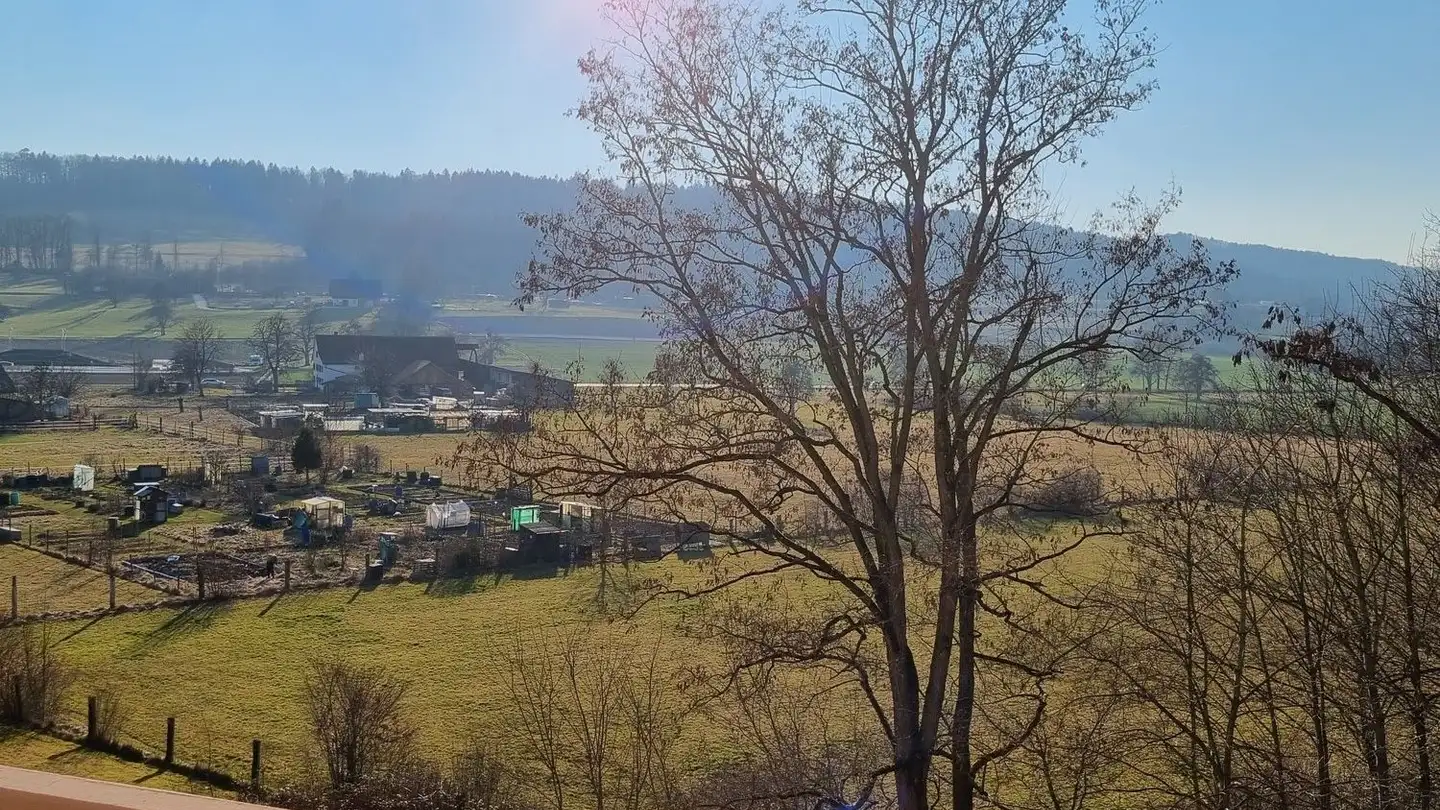 Appartamento in affitto - Gerenstrasse 73, 8105 Regensdorf - Foto 2