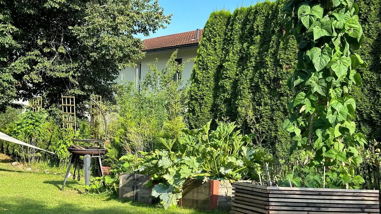 Casa singola in affitto - Winkelstrasse 11, 8637 Laupen ZH - Foto 4