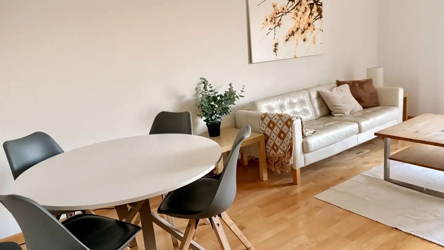 Möblierte Wohnung mieten - Elisabethenstrasse 39, 4051 Basel