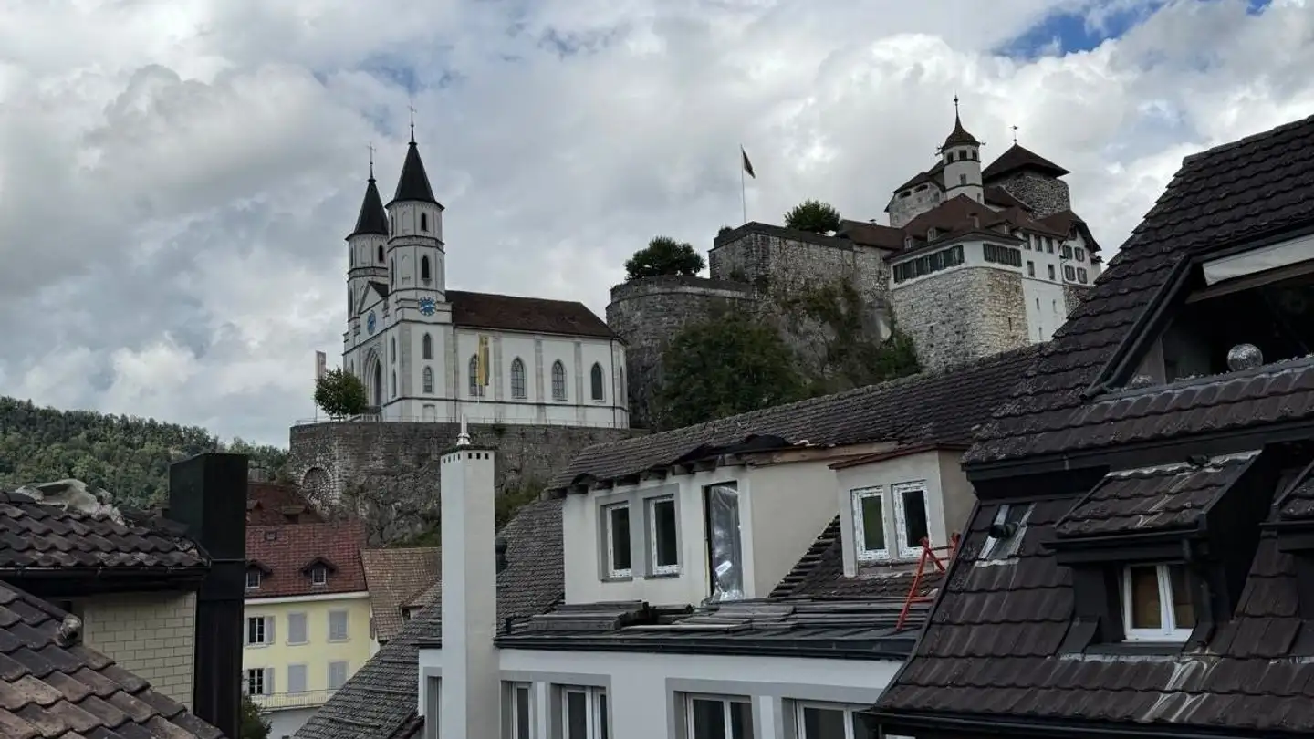 Loft à louer - Hofmattstrasse 2, 4663 Aarburg