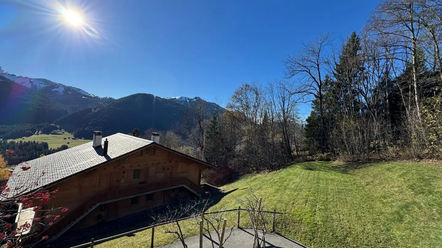 Appartamento in vendita - Chemin Du Crétêt Au Rot 3, 1865 Les Diablerets - Photo 4