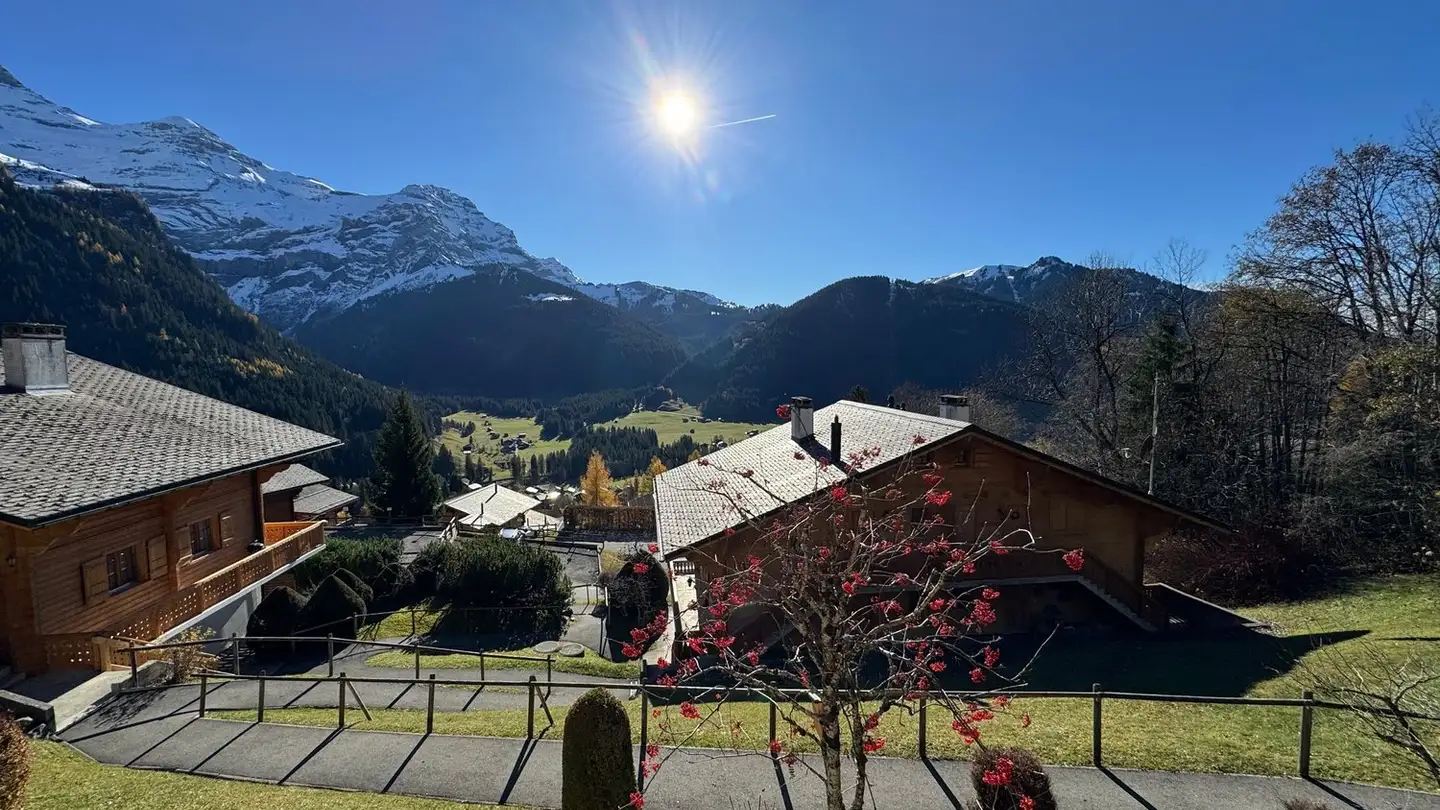 Appartamento in vendita - Chemin Du Crétêt Au Rot 3, 1865 Les Diablerets - Photo 3