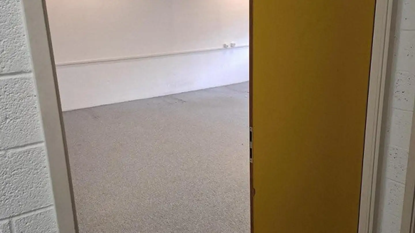 Workshop for rent - Chemin Des Aulx 18, 1228 Plan-les-Ouates