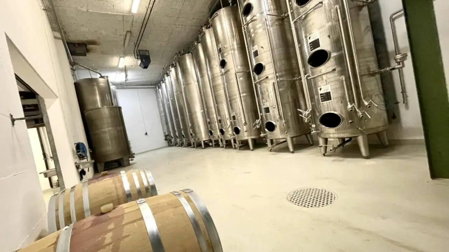 Einfamilienhaus kaufen - 3970 Salgesch - Foto 2