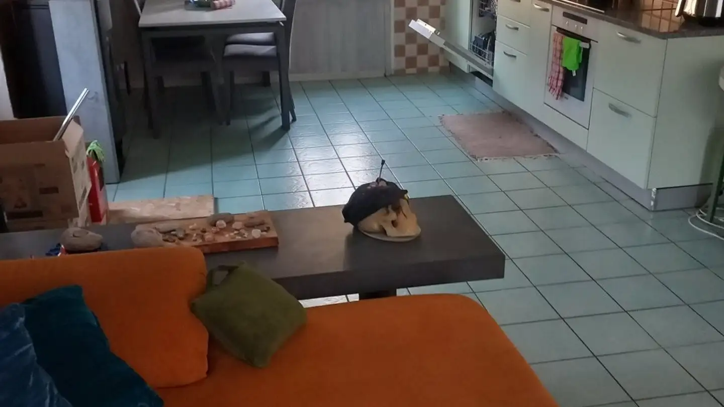 Appartamento in affitto - Via San Gottardo 38, 6500 Bellinzona