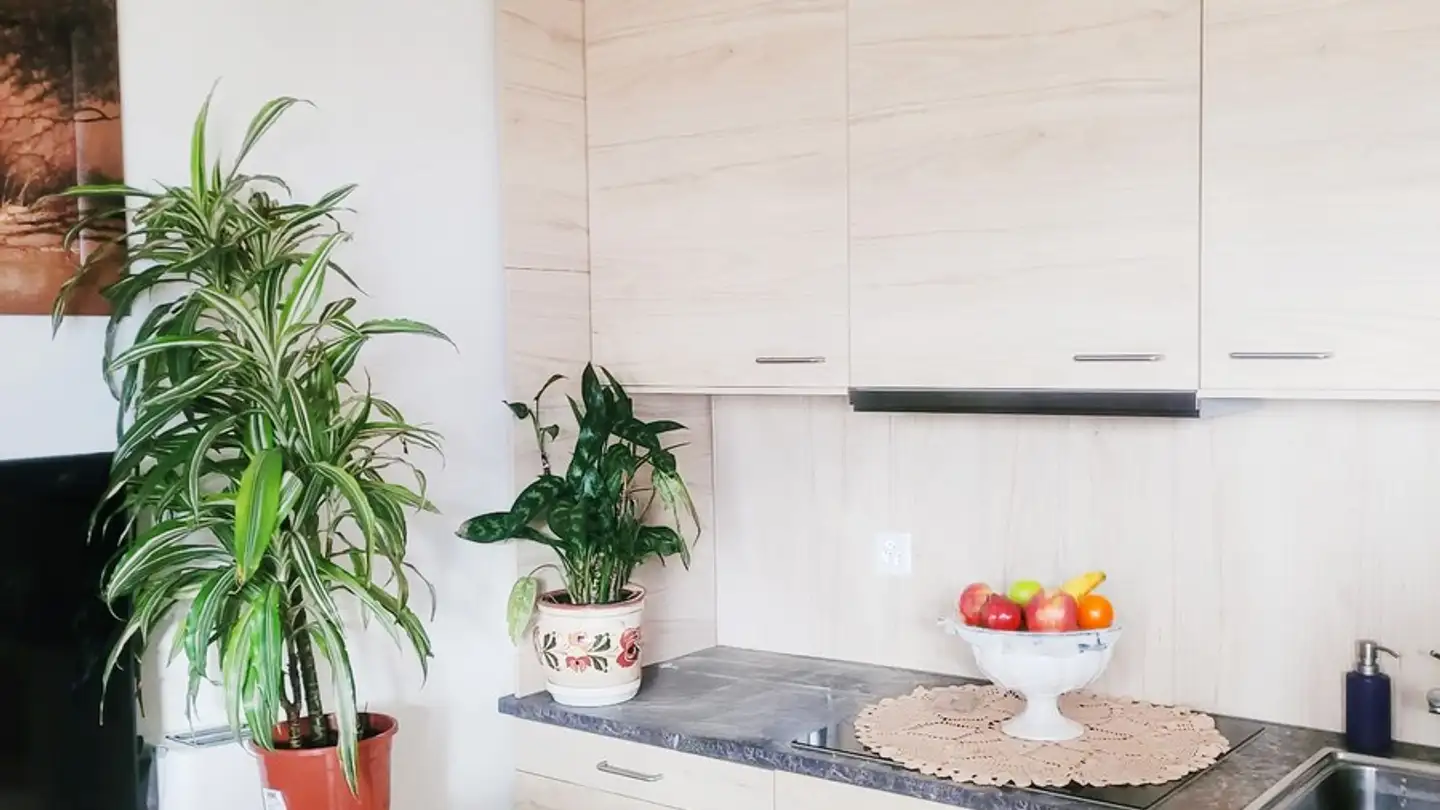 Casa bifamiliare in vendita - 6516 Cugnasco - Foto 2