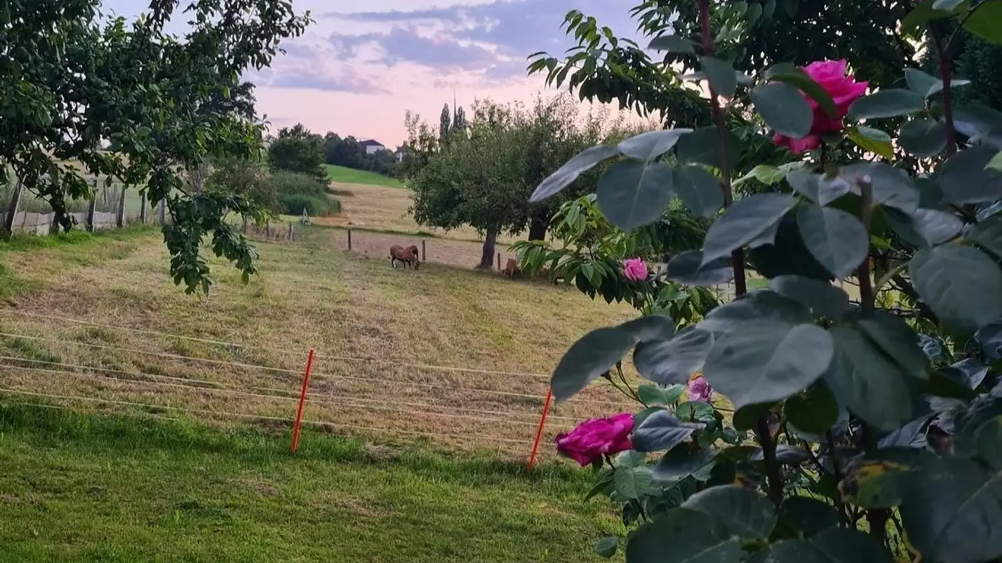 Single house for rent - Tufteraweg 16, 3178 Bösingen - Photo 3