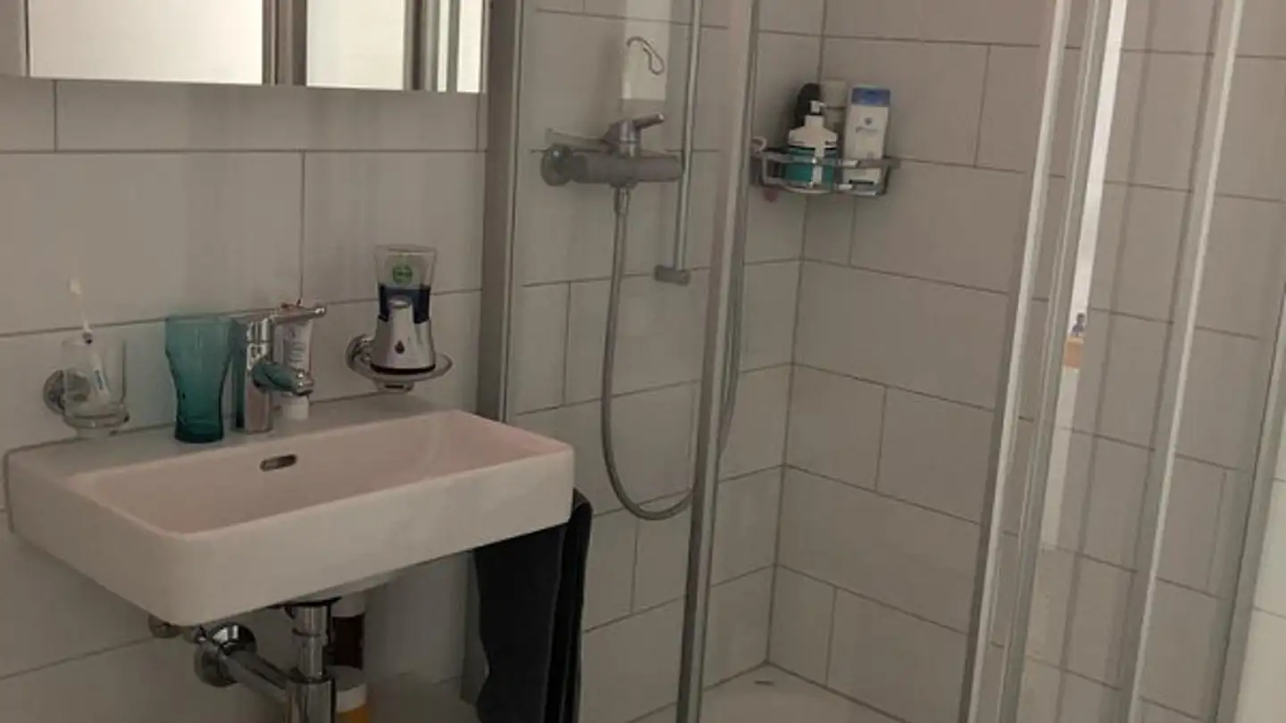 Appartamento in affitto - Schlosstalstrasse 26, 8406 Winterthur - Foto 4