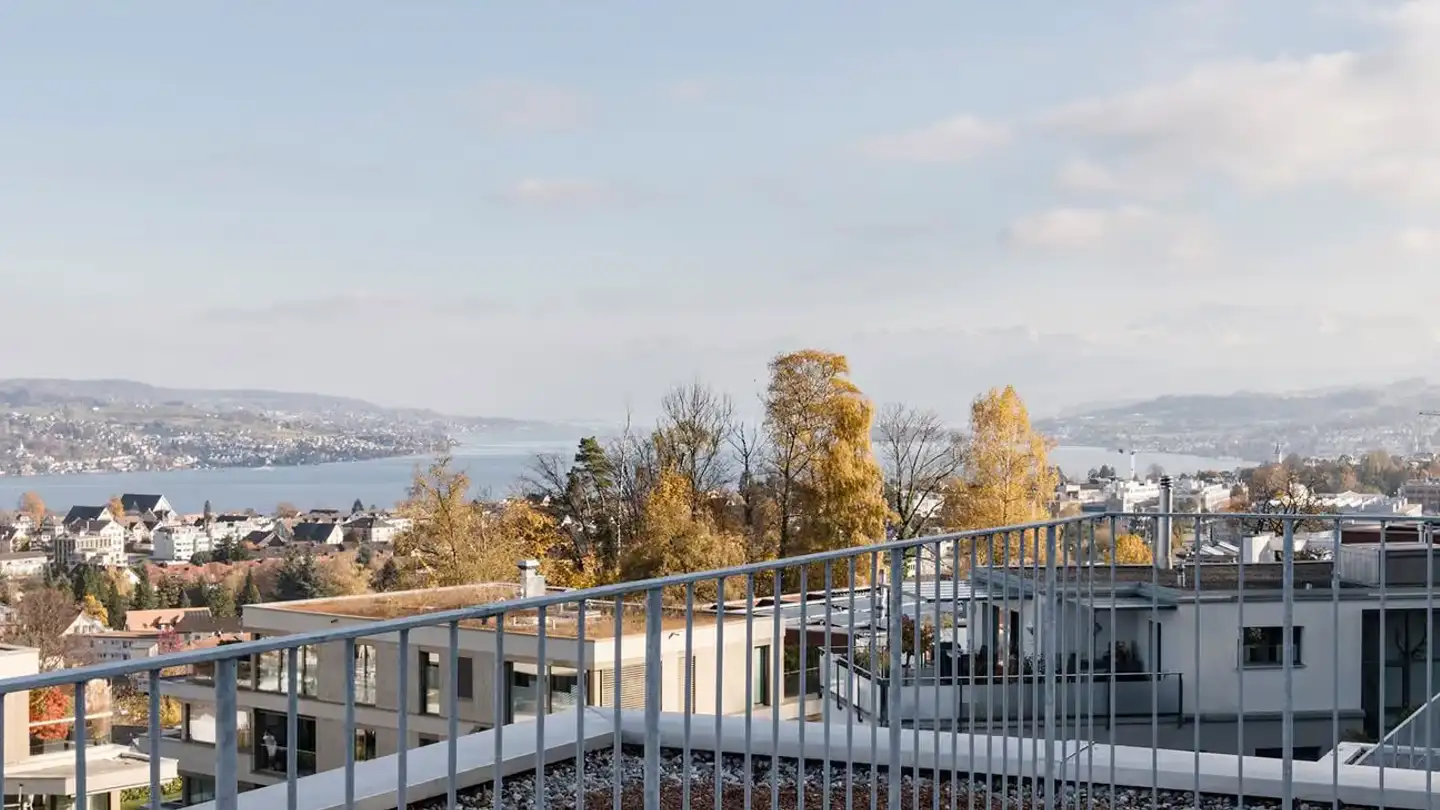 Attique à louer - Säumerstrasse, 8800 Thalwil