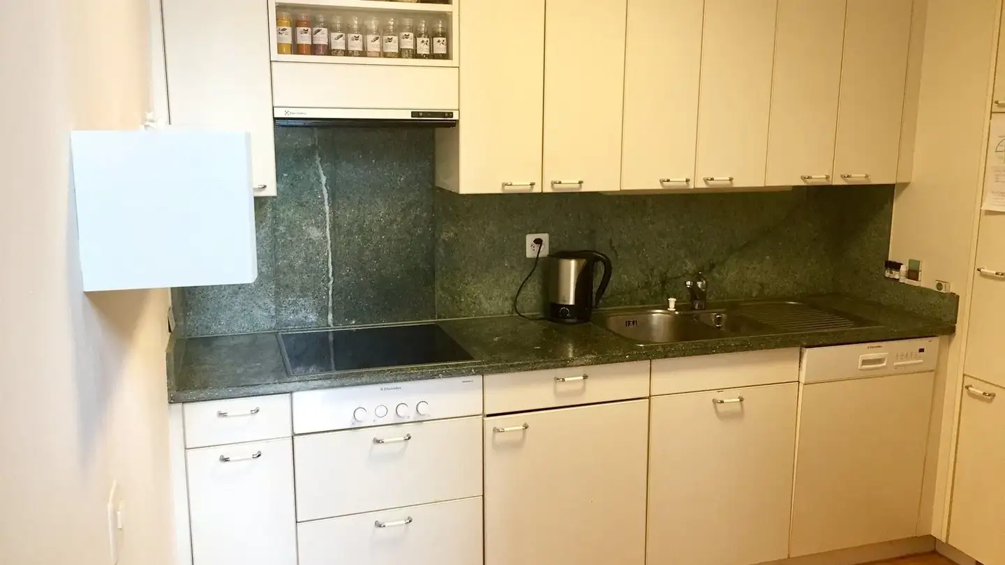 Appartamento in affitto - Giesshübelstrasse, 8045 Zürich - Foto 3