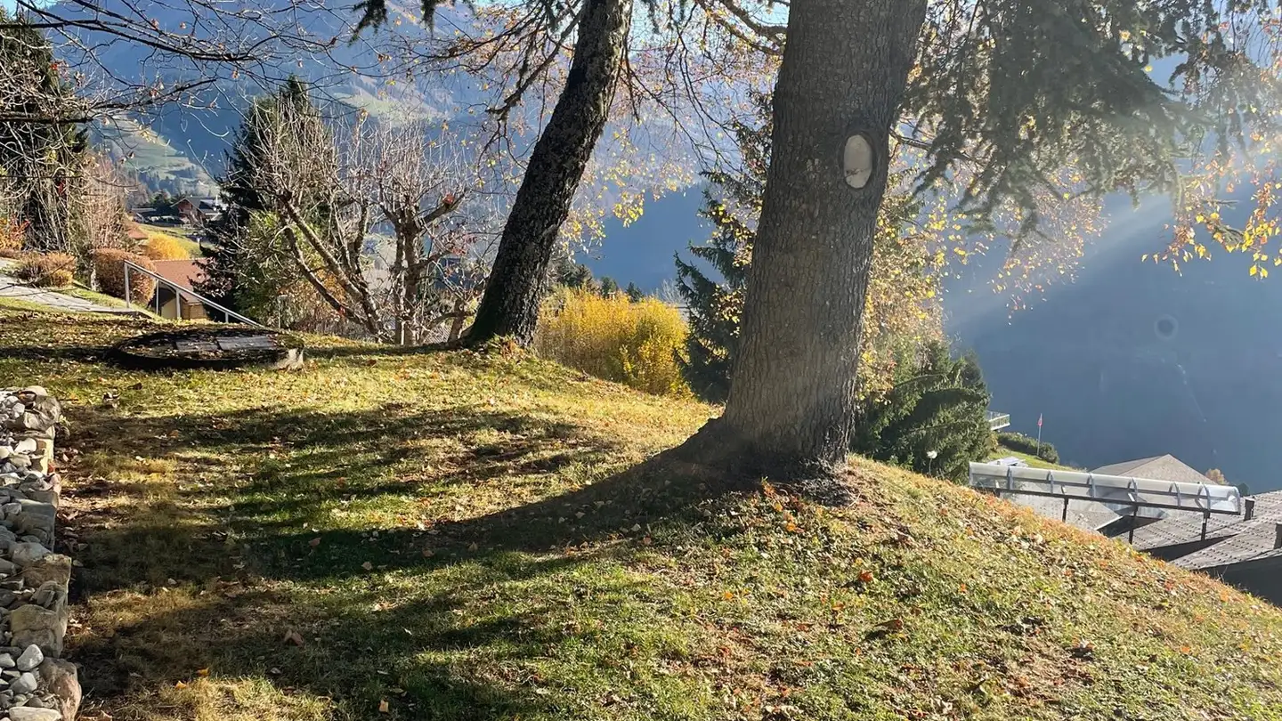 Apartment for rent - 1854 Leysin - Photo 2