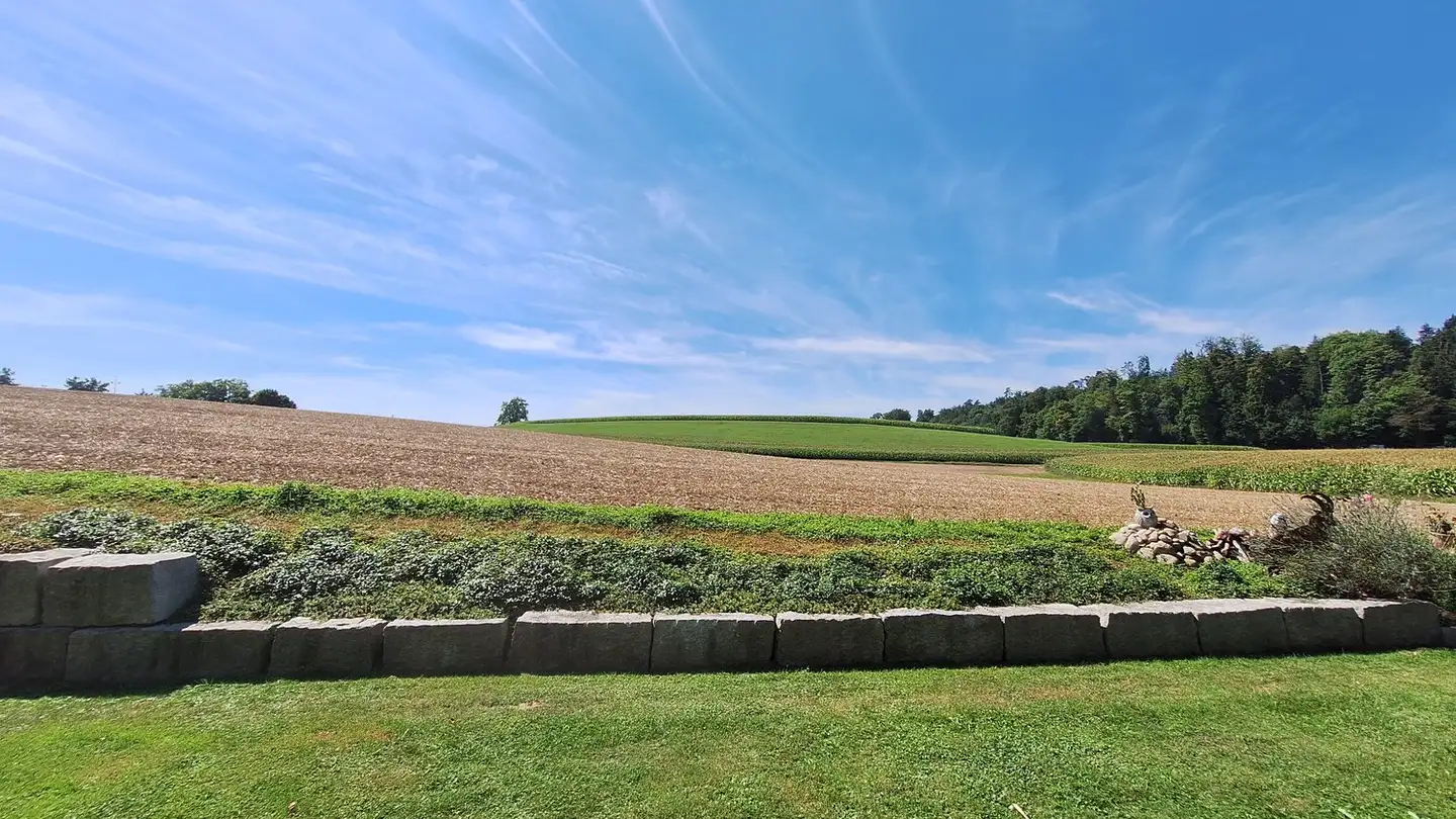 Wohnung mieten - Hinterrietstrasse 23, 8317 Tagelswangen - Foto 2