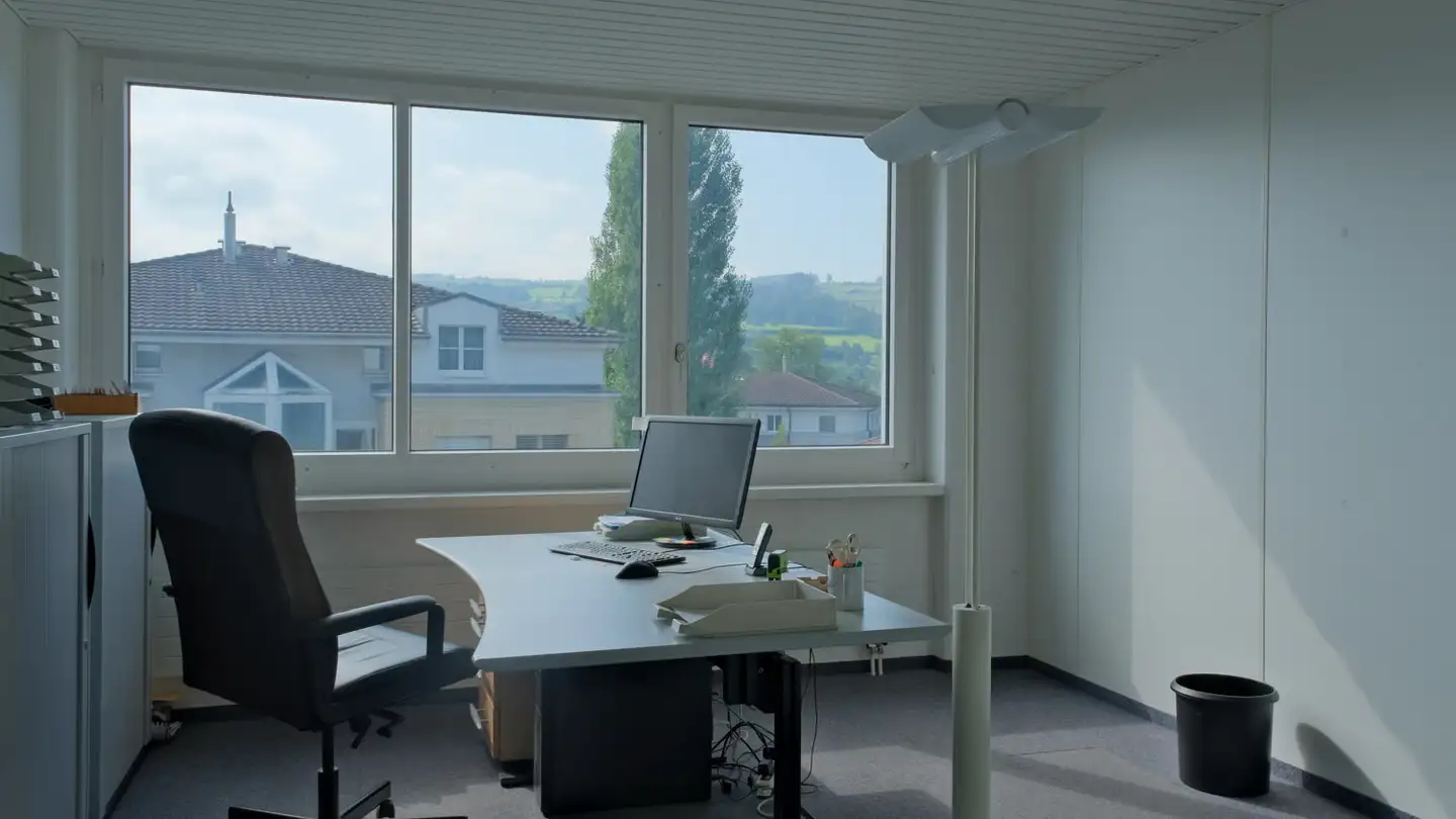 Gewerbe mieten - Turbistrasse 25, 6280 Hochdorf