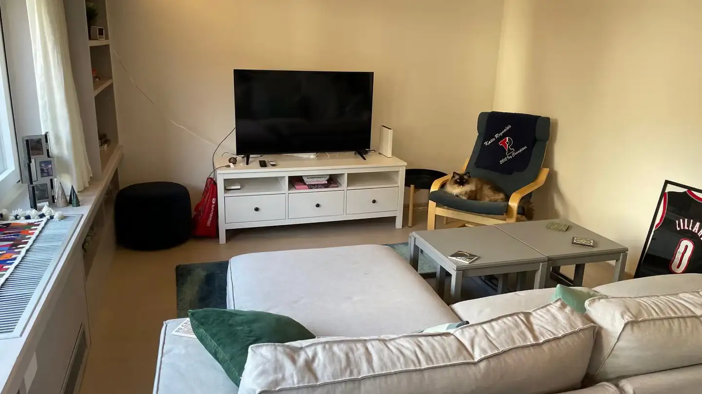 Apartment for rent - Lintheschergasse 17, 8001 Zürich - Photo 2