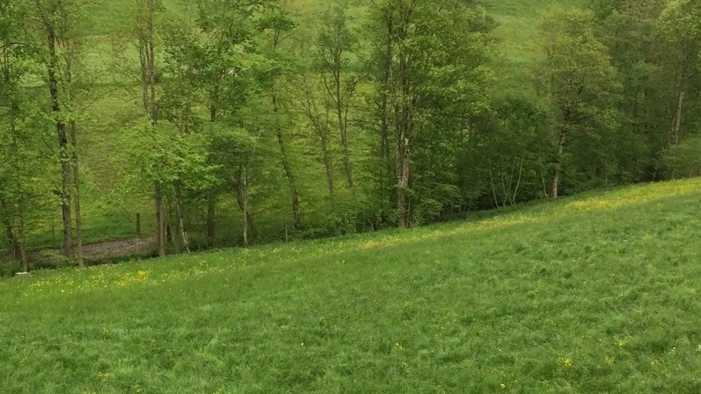 Wohnung mieten - Dürrenbühl 121a, 4954 Wyssachen