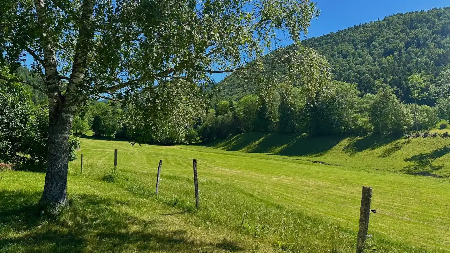 Maison jumelle à vendre - 2058 Le Pâquier NE