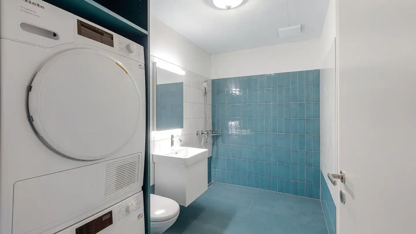 Penthouse for rent - Anton-Higi-Strasse 12, 8046 Zürich - Photo 3