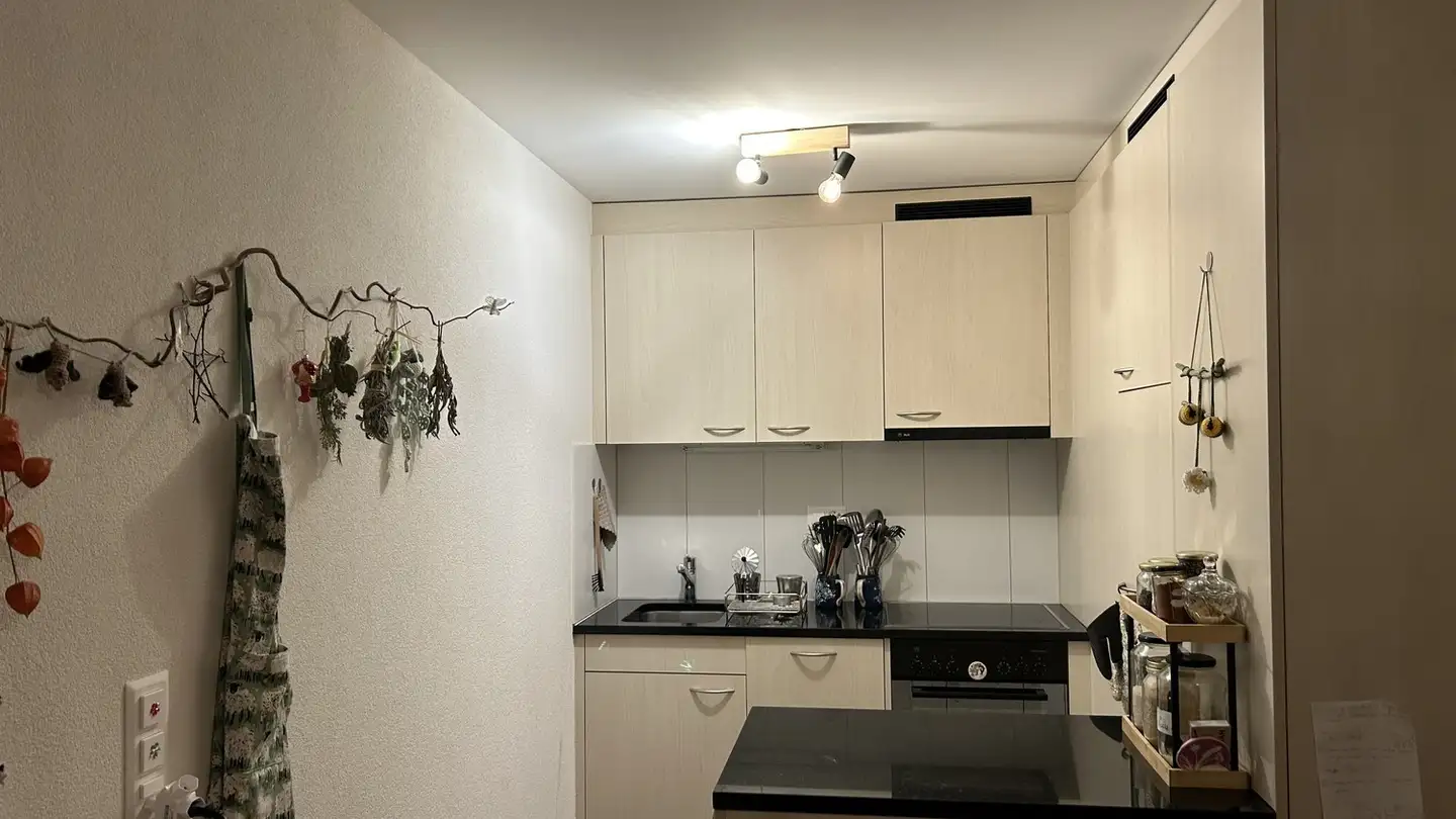 Appartement à louer - Route Wilhelm-Kaiser 9, 1700 Fribourg - Photo 3