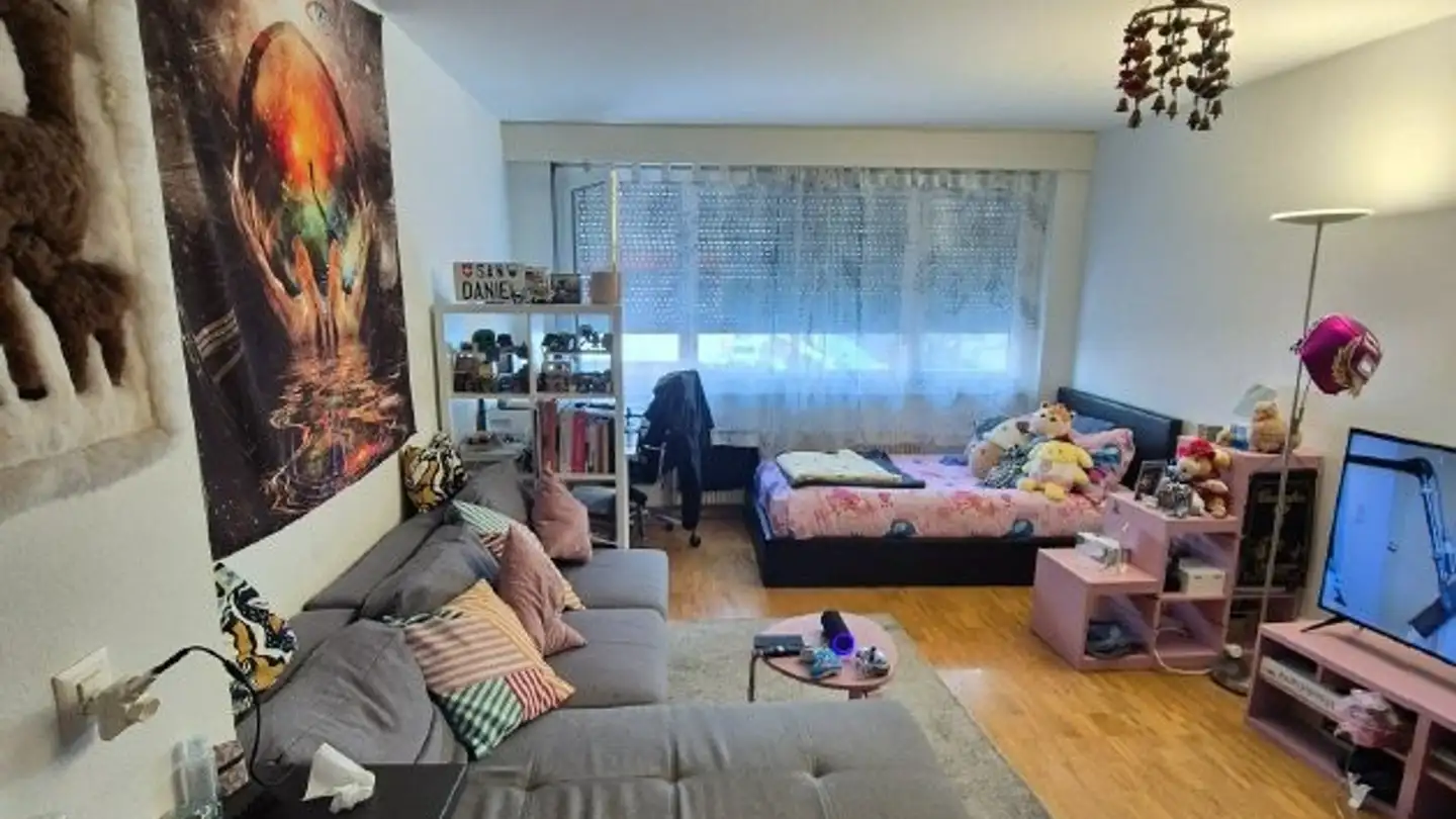 Appartamento in affitto - Rue De La Borde 29, 1018 Lausanne