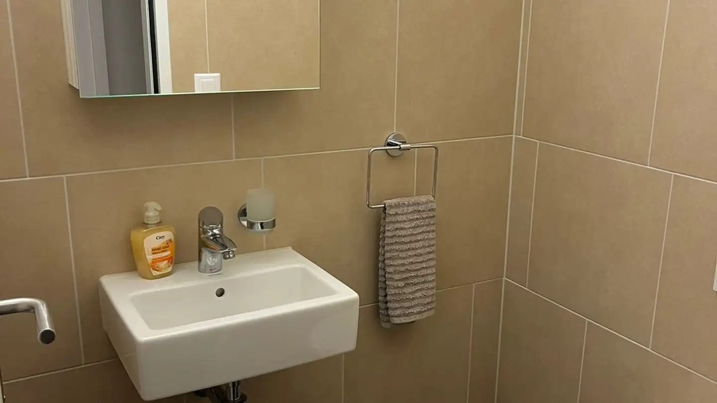 Apartment for rent - Altwiesenstrasse 347, 8051 Zürich