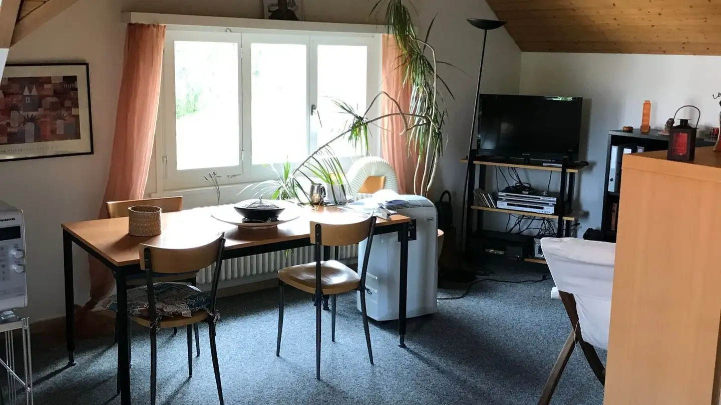 Attico in affitto - Schwalbenstrasse 12, 8374 Dussnang - Photo 3