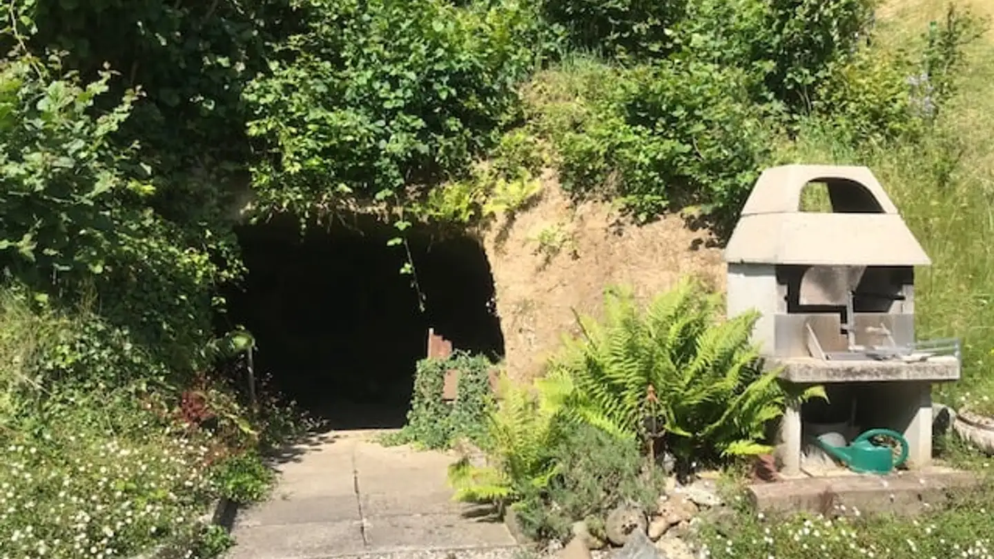 Fattoria in vendita - Böhlerweg 1, 5040 Schöftland - Photo 4