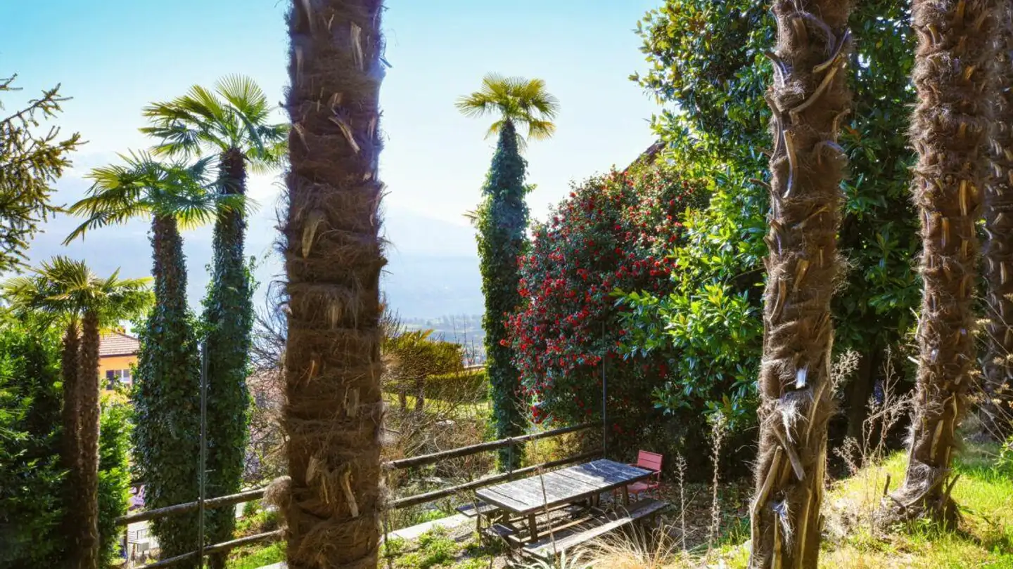 Constructible plot for sale - Via Al Parco 13, 6644 Orselina - Photo 2