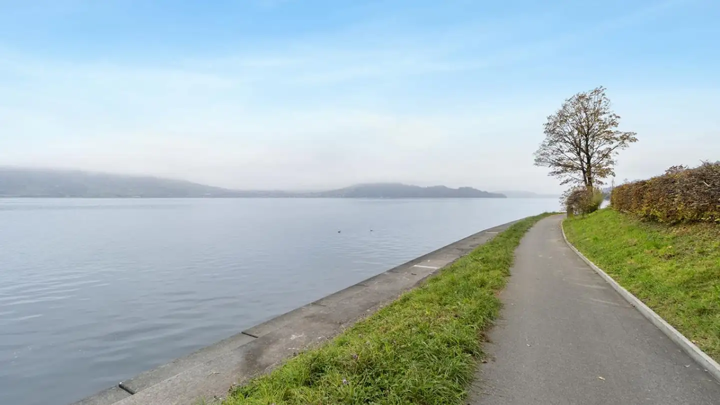 Einfamilienhaus kaufen - 6318 Walchwil - Foto 3