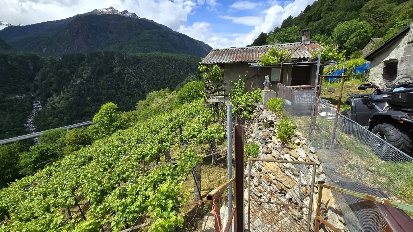 Maison à vendre - Stráda Di Vign, 6748 Anzonico - Photo 2