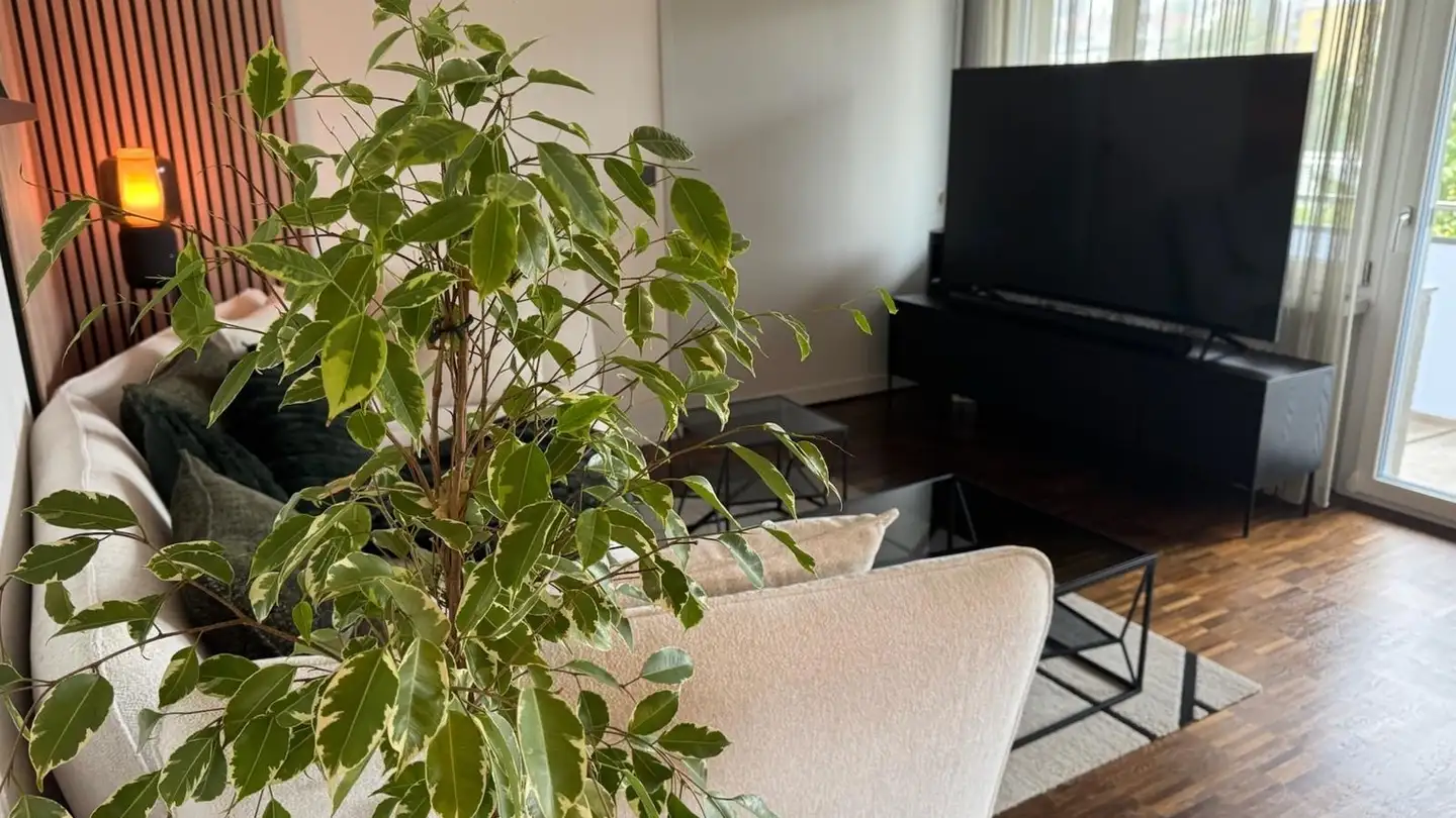 Casa singola in affitto - 8308 Illnau - Photo 2