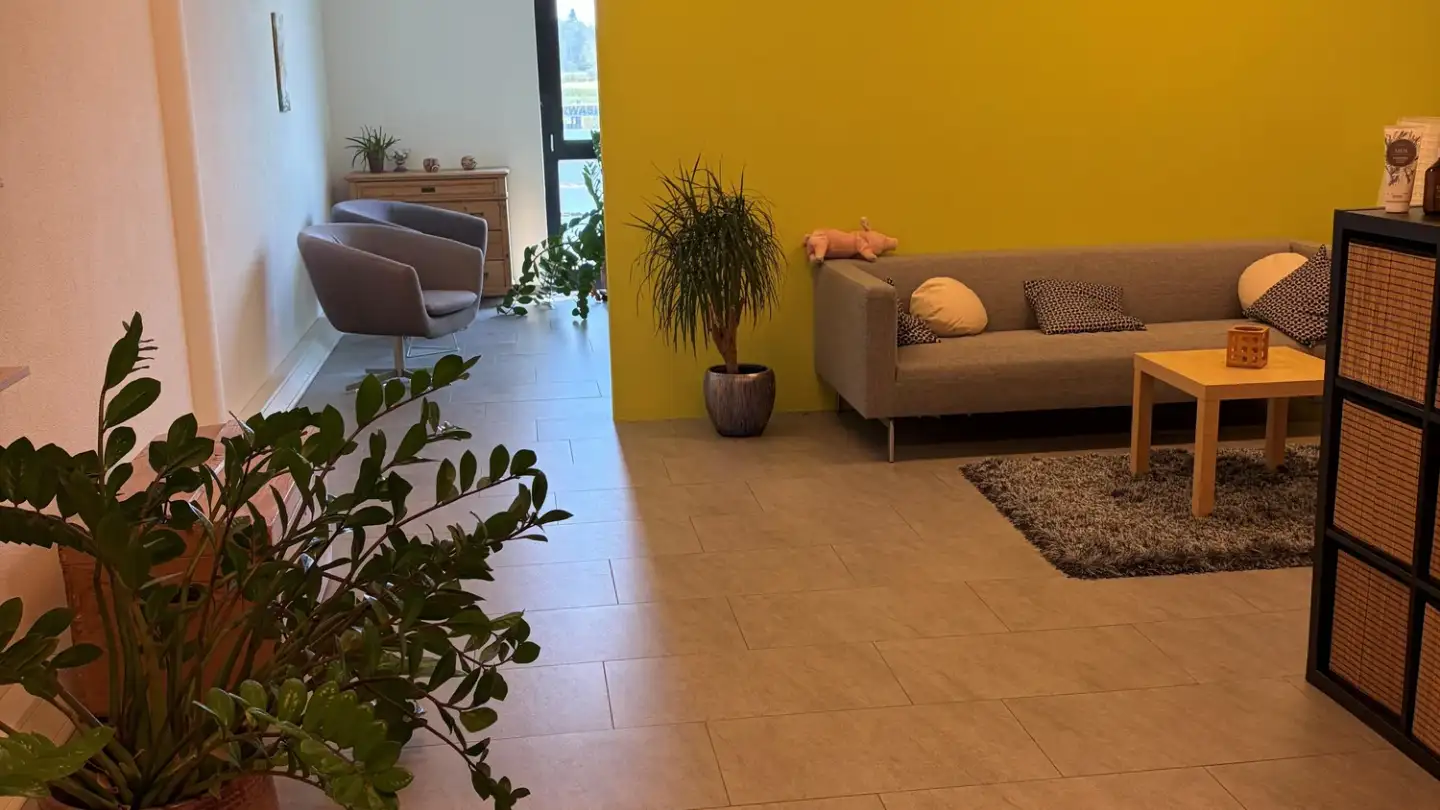 Cabinet médical à louer - Gewerbestrasse 11, 8451 Kleinandelfingen - Photo 3
