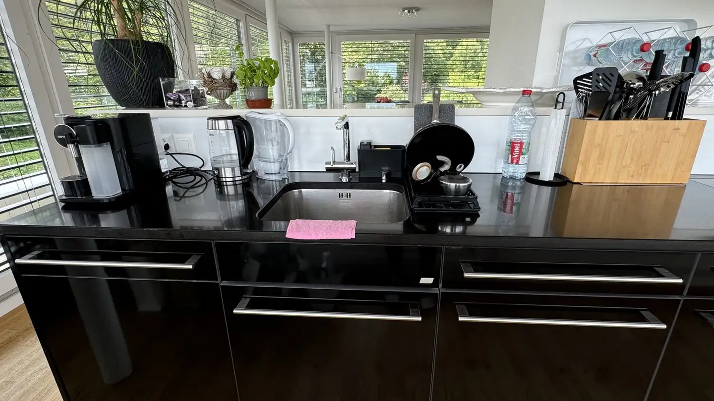 Möblierte Wohnung mieten - 8820 Wädenswil - Foto 3