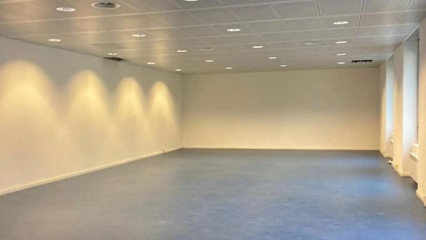 Office space for rent - Via Linoleum 14, 6512 Giubiasco