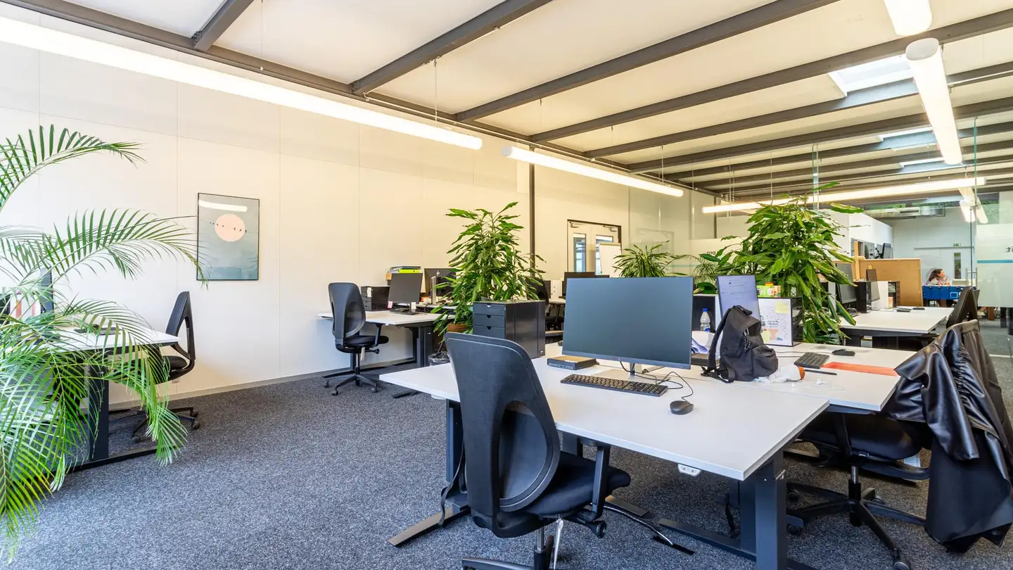 Bürofläche mieten - Walzmühlestrasse 50, 8500 Frauenfeld - Foto 2