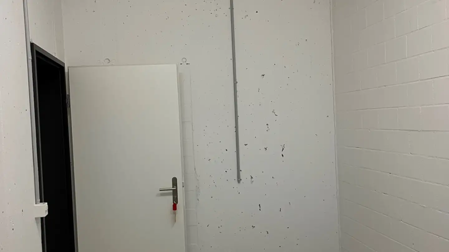 Sala hobby in affitto - Schönbüelpark 16, 9016 St. Gallen - Foto 3