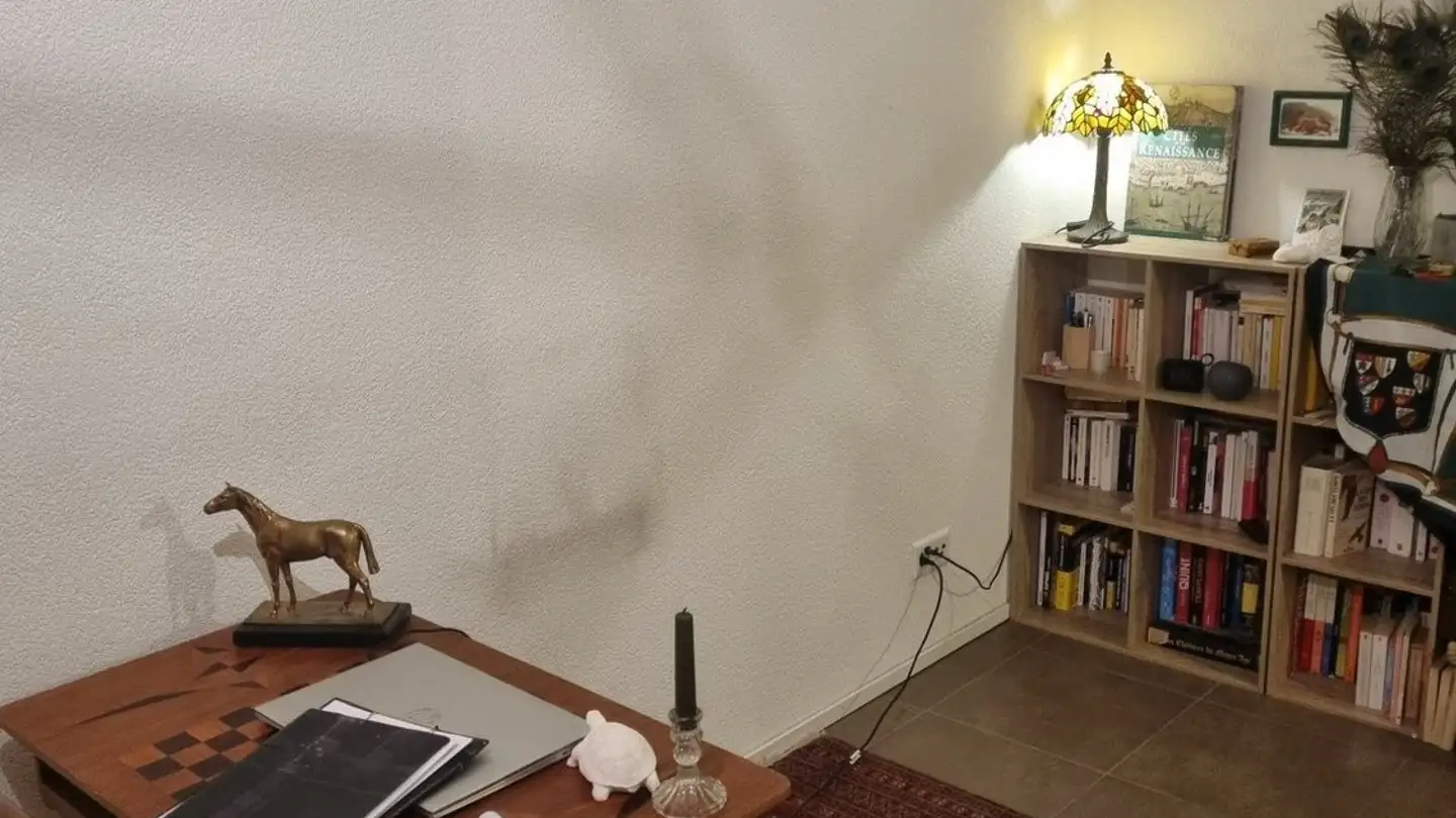 Appartamento in affitto - 1009 Pully - Foto 3