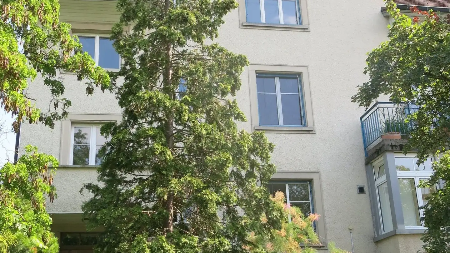 Appartement à louer - Oberkirchstrasse, 8500 Frauenfeld