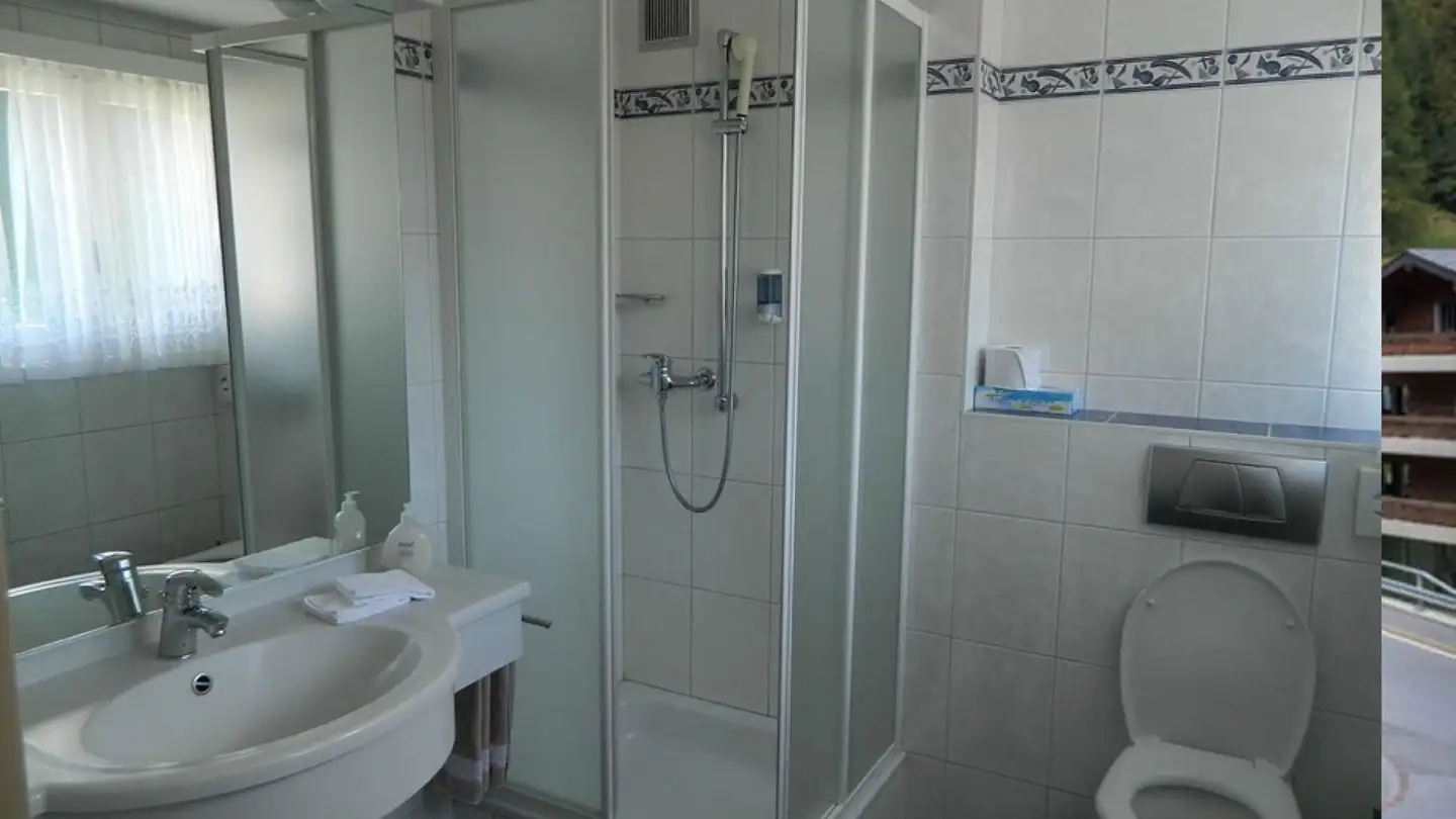 Hotel for sale - Innere Saastalstrasse, 3910 Saas-Grund - Photo 4