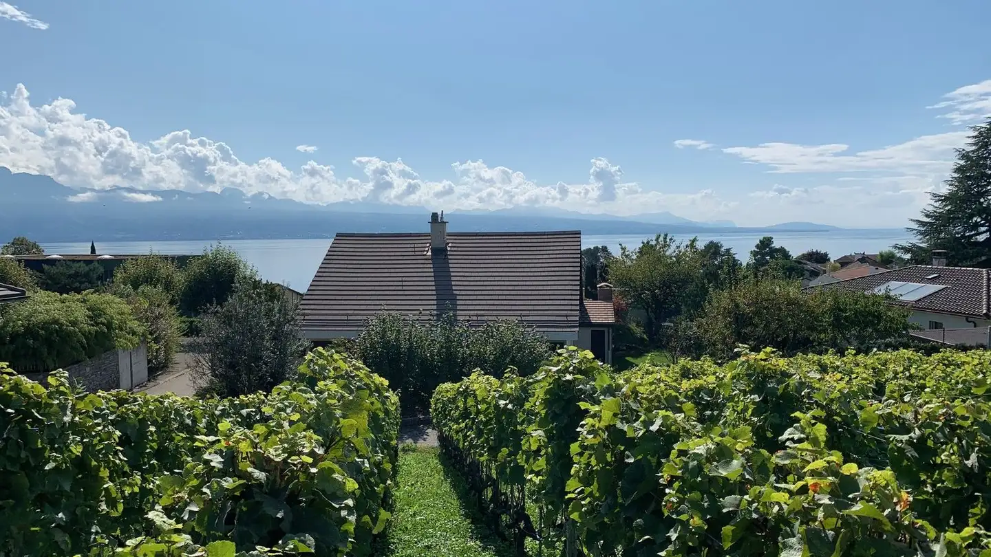 Villa à louer - Chemin Des Pâles, 1095 Lutry - Photo 2