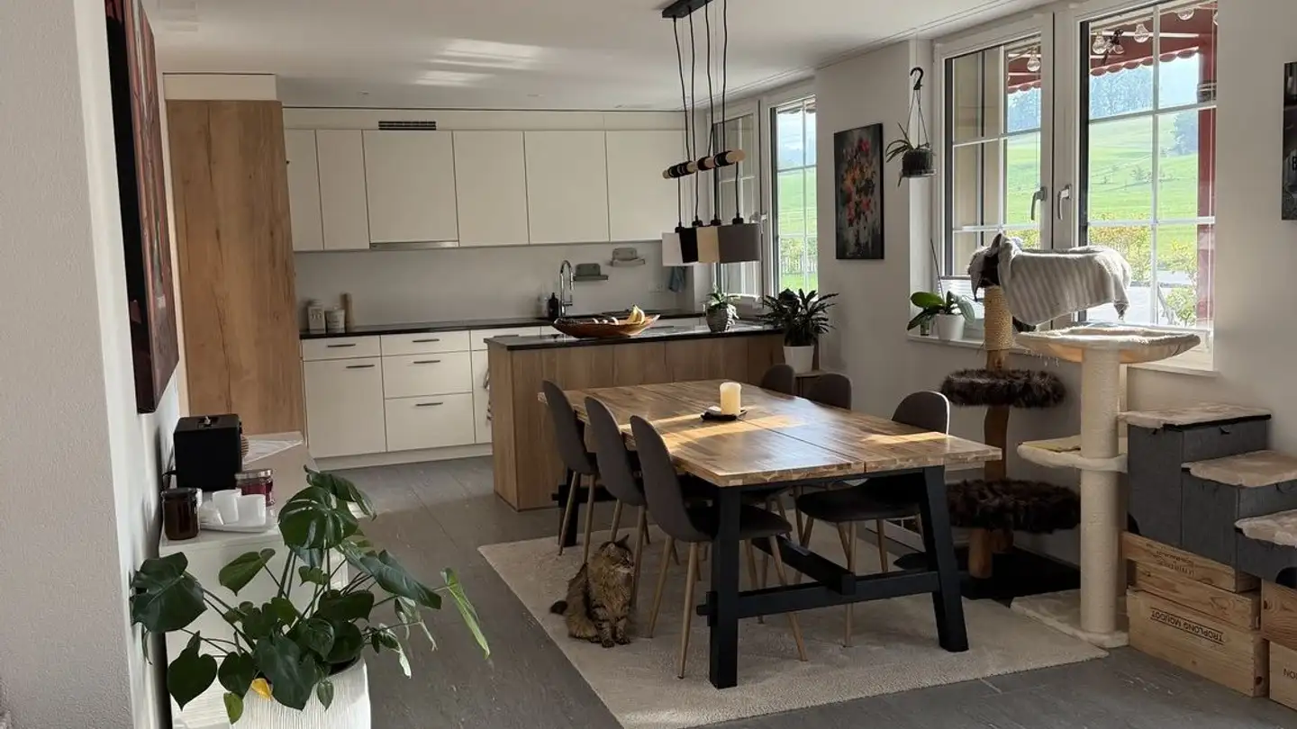 Apartment for rent - Neuguet 4, 8132 Hinteregg - Photo 4