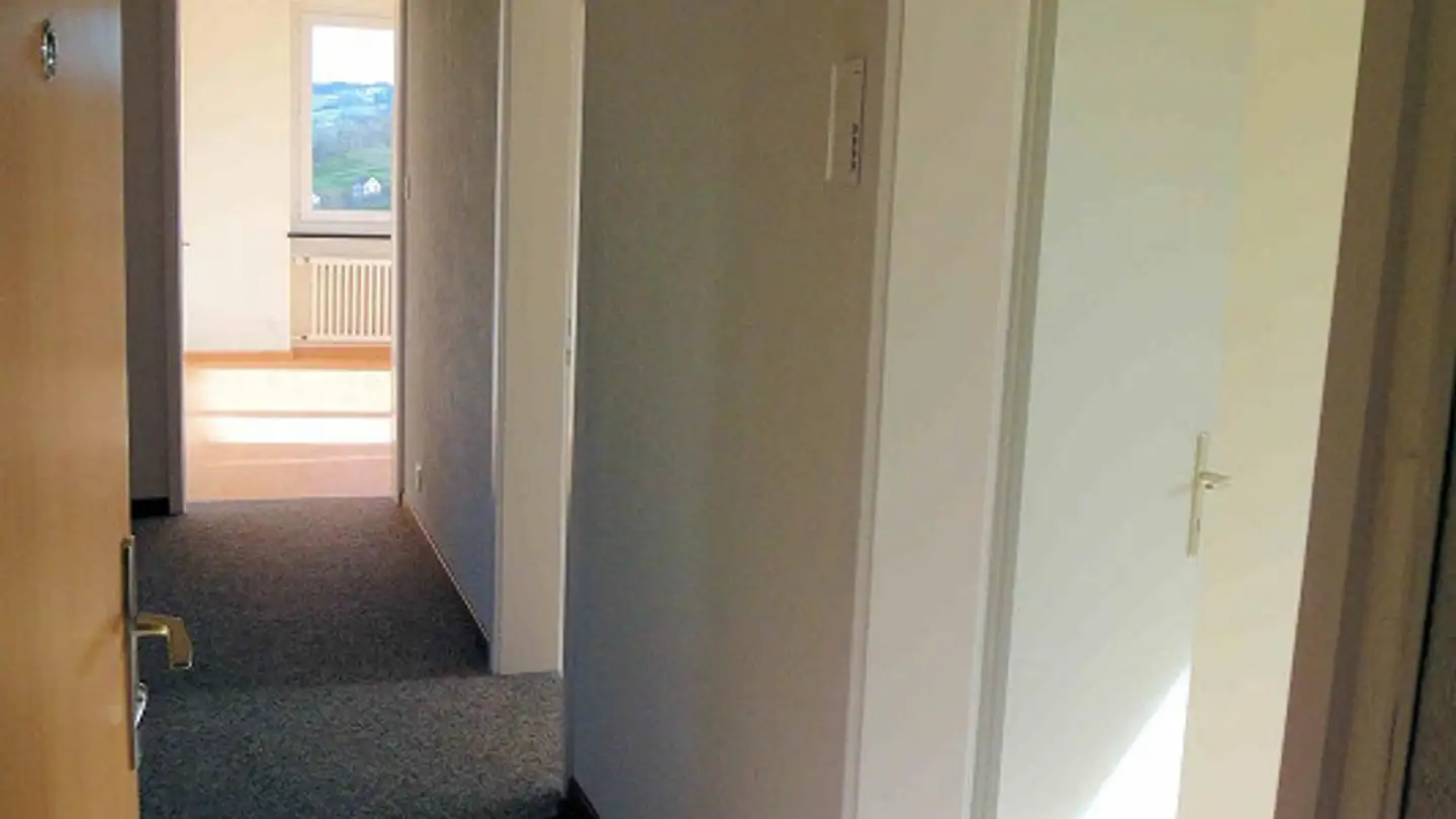 Appartement à louer - Burghalden 3388, 9100 Herisau - Photo 2