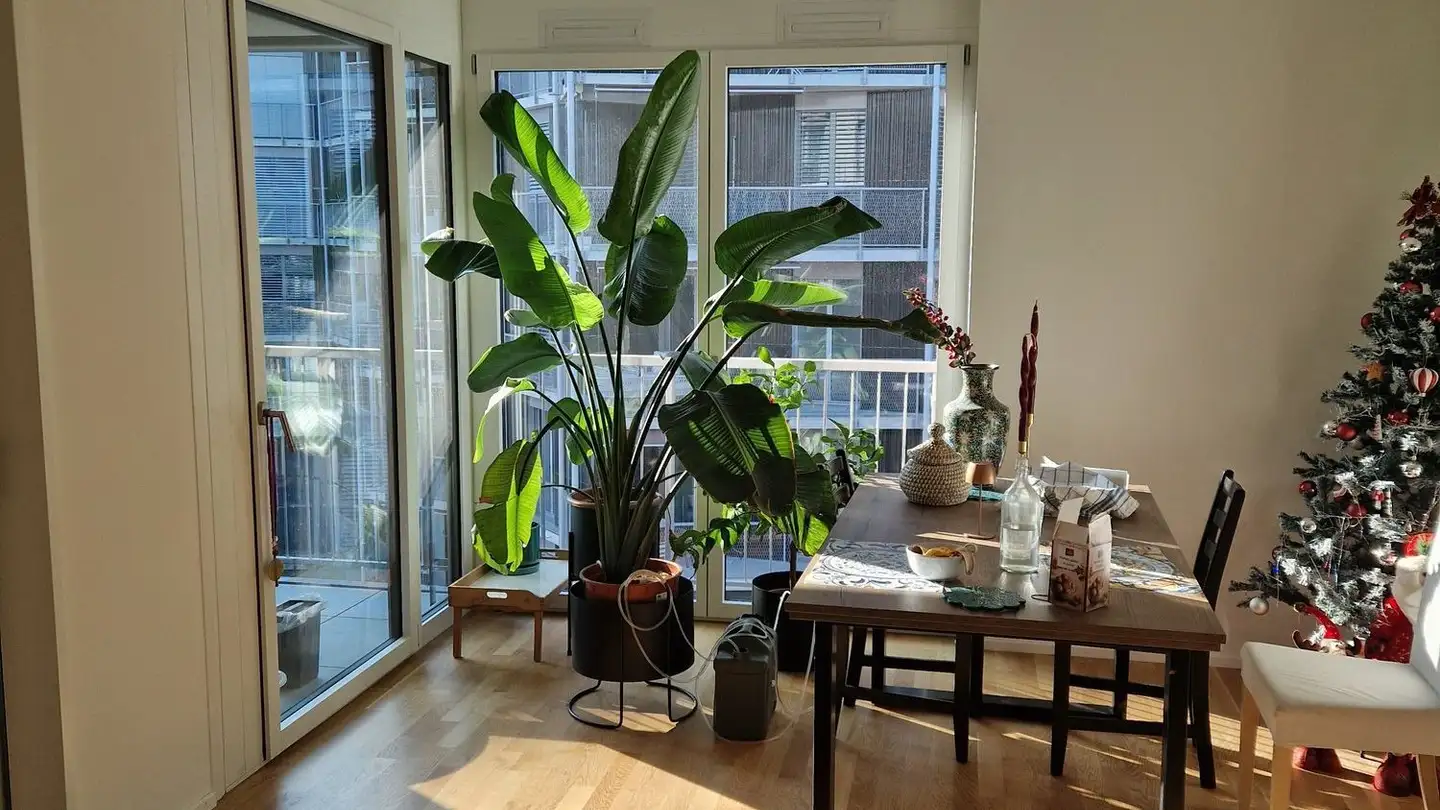 Appartamento in affitto - Austrasse, 8045 Zürich - Foto 2