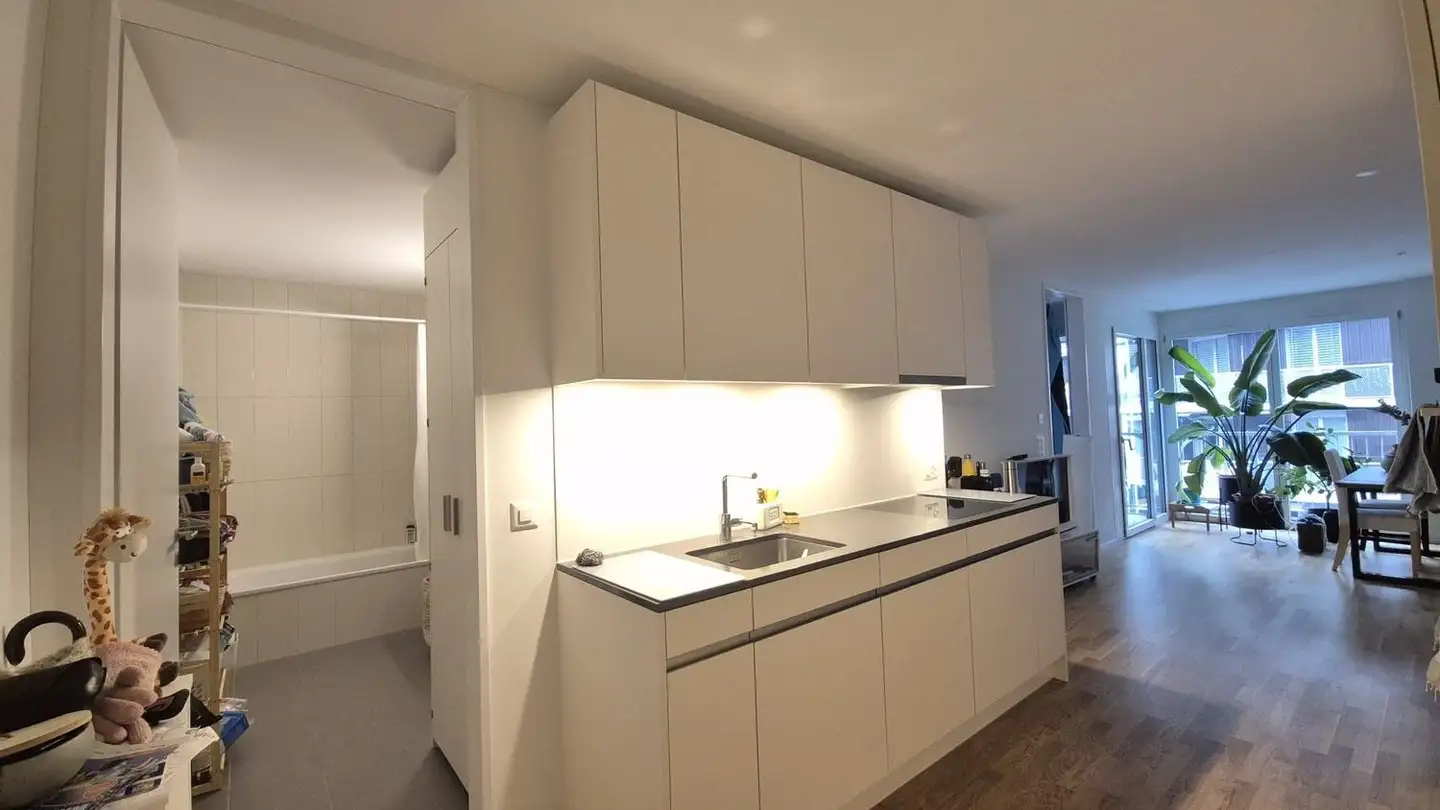 Appartamento in affitto - Austrasse, 8045 Zürich - Foto 3