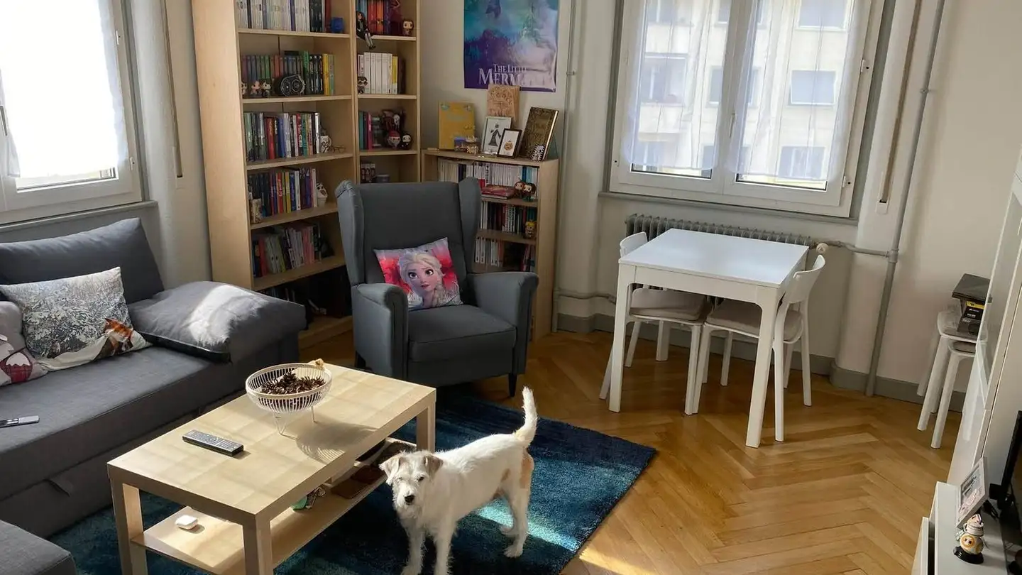 Appartement à louer - Rue De Carouge 112, 1205 Genève