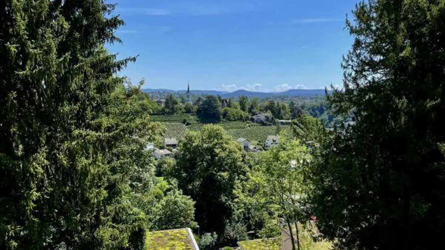 Appartamento in vendita - Stokarbergstrasse 125, 8200 Schaffhausen - Foto 4