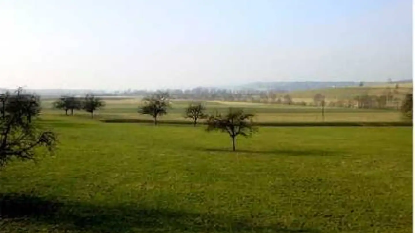 Appartamento in affitto - Brunnenwiesstrasse 4, 8556 Wigoltingen - Foto 2