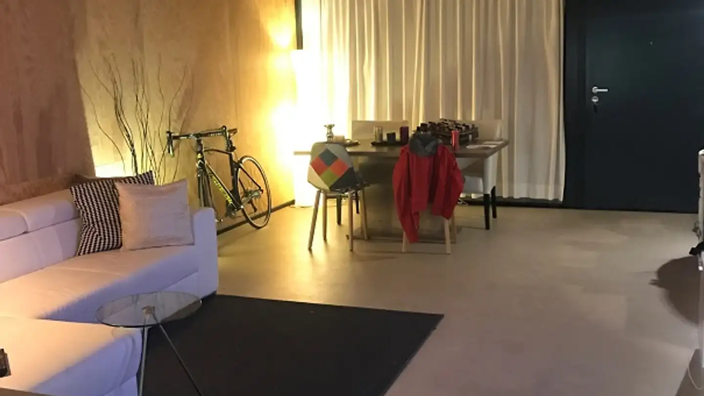 Loft in affitto - Brandstrasse 45, 8952 Schlieren - Foto 2