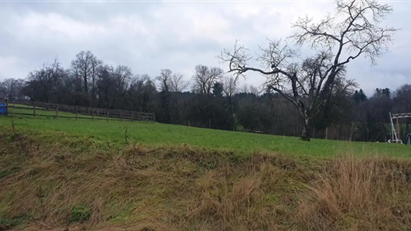 Single house for sale - Lielistrasse, 6284 Sulz LU - Photo 2